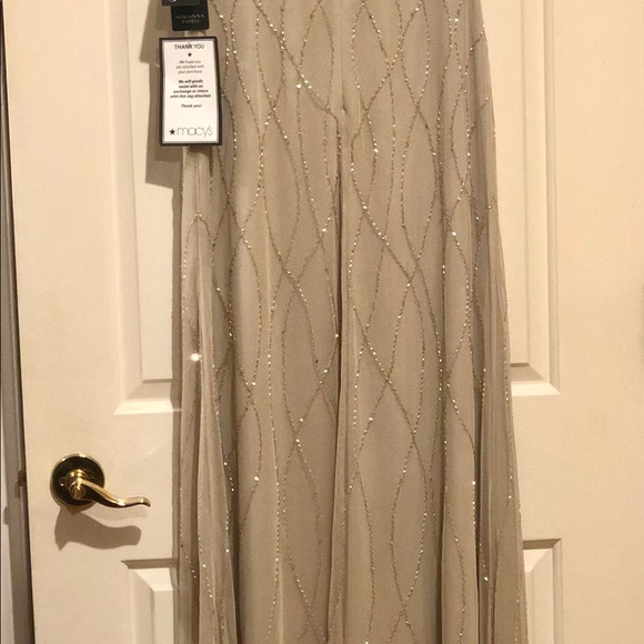 NWT Mother of the Bride/Groom, Evening Dress, Adrianna Papell, size 2 Champagne - Picture 5 of 5